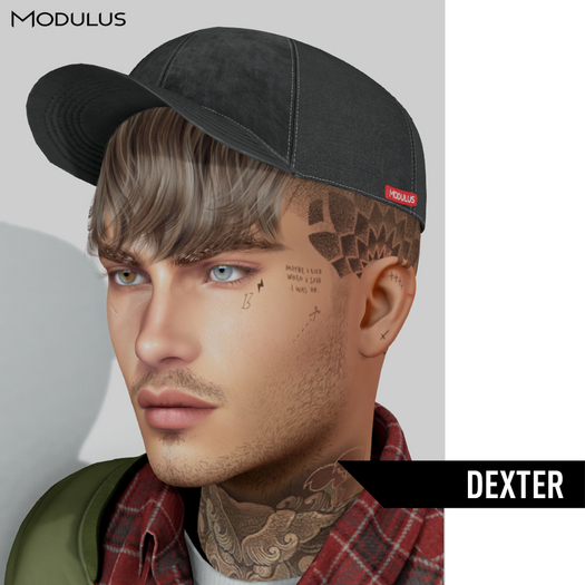 Second Life Marketplace Modulus Dexter Hair FatPack
